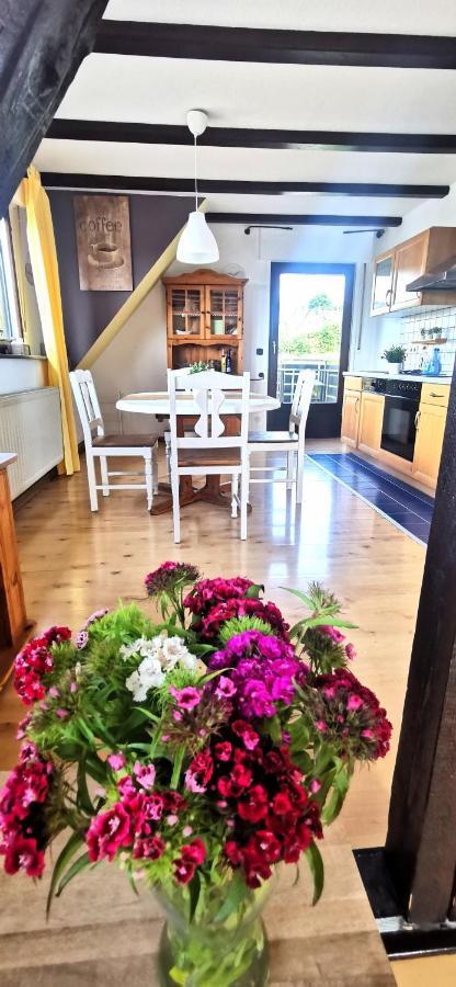 Appartement Auszeit Rhein-Mosel à Waldesch Extérieur photo