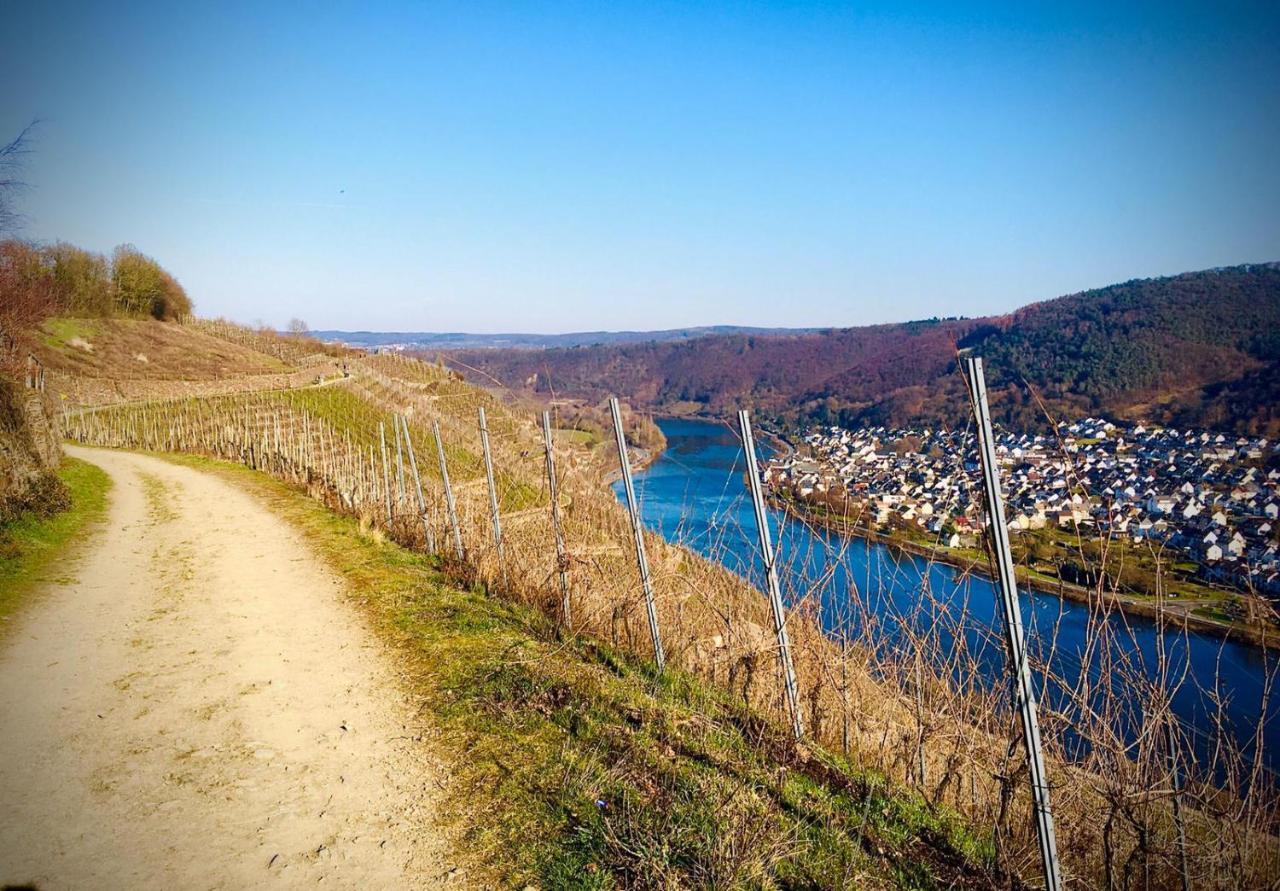 Appartement Auszeit Rhein-Mosel à Waldesch Extérieur photo