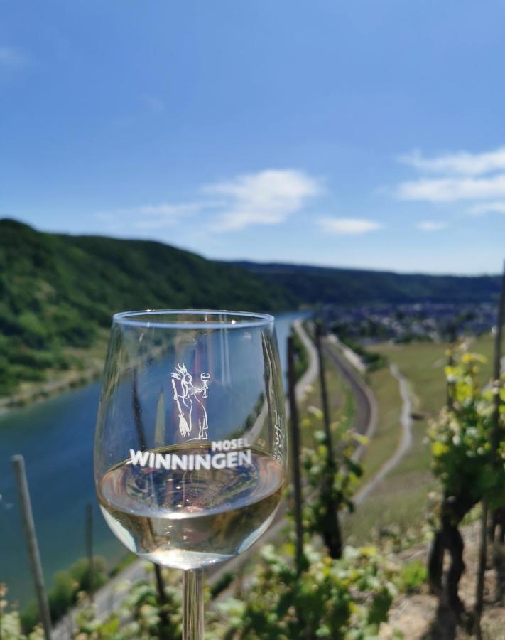 Appartement Auszeit Rhein-Mosel à Waldesch Extérieur photo