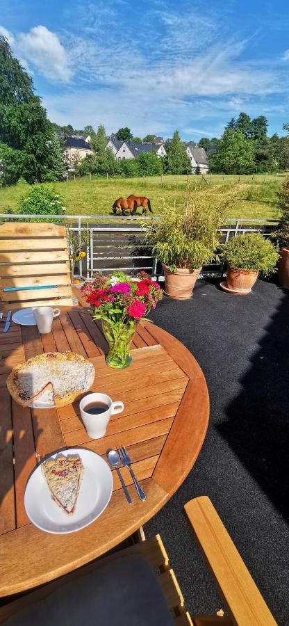 Appartement Auszeit Rhein-Mosel à Waldesch Extérieur photo